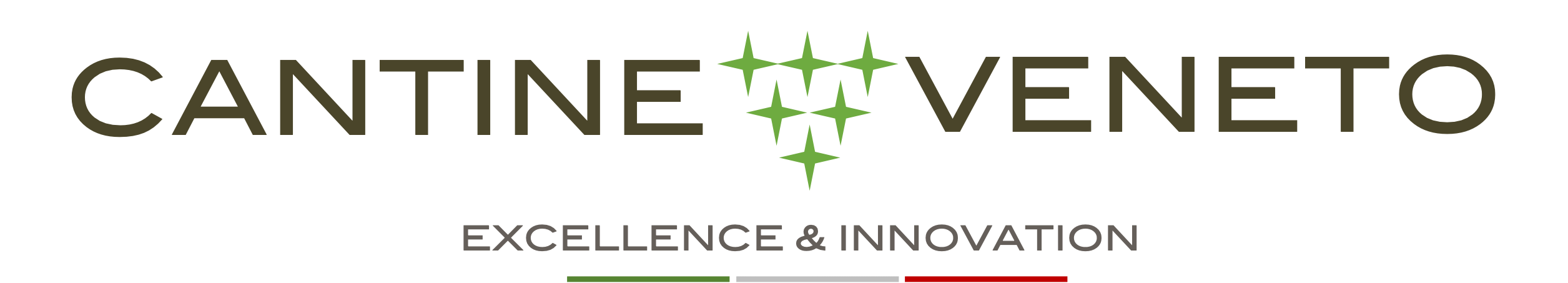 Vini Veneto - Excellence and Innovation